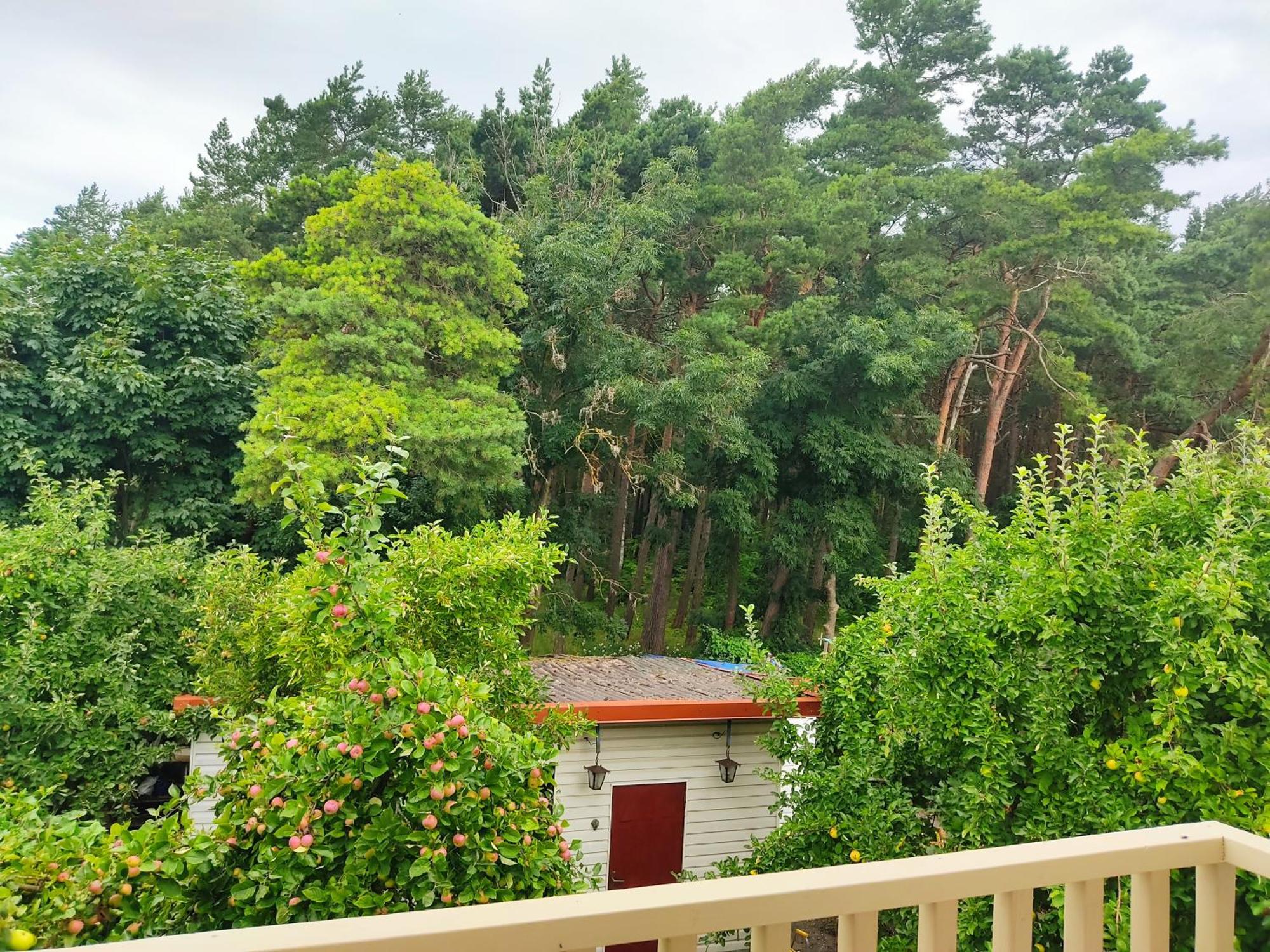 Kopa Cabana Palanga Exterior photo